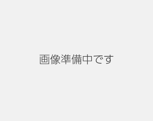 味噌とんかつ弁当